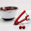 OXO Good Grips Red Cherry/Olive Pitter