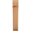 Attelle impériale du genou-31229265-29309856-31229279