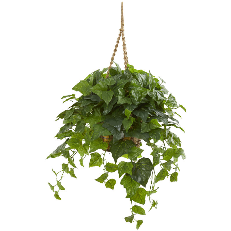 Plante ivy artificielle 38" en panier