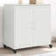 Shalethia Cabinet Office Storage Cabinet-875149108
