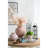 11.5X7x7 Inches Beige Sand And Cement Shell Planter Ideal For Succulents In A Rustic Bedroom Kitchen