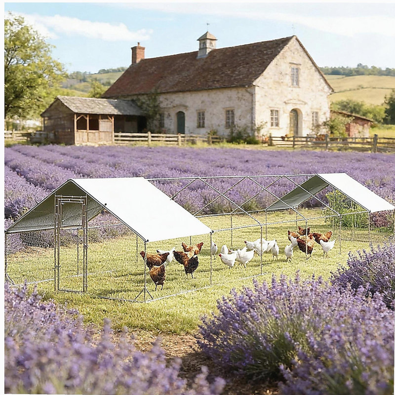 Grande maison pour animaux de compagnie, poulailler, poulailler extérieur, maison pour canards