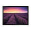 Sunrise & Dramatic Clouds Over Lavender Field XIII - reproduction d'art sur toile-59651877-59651867