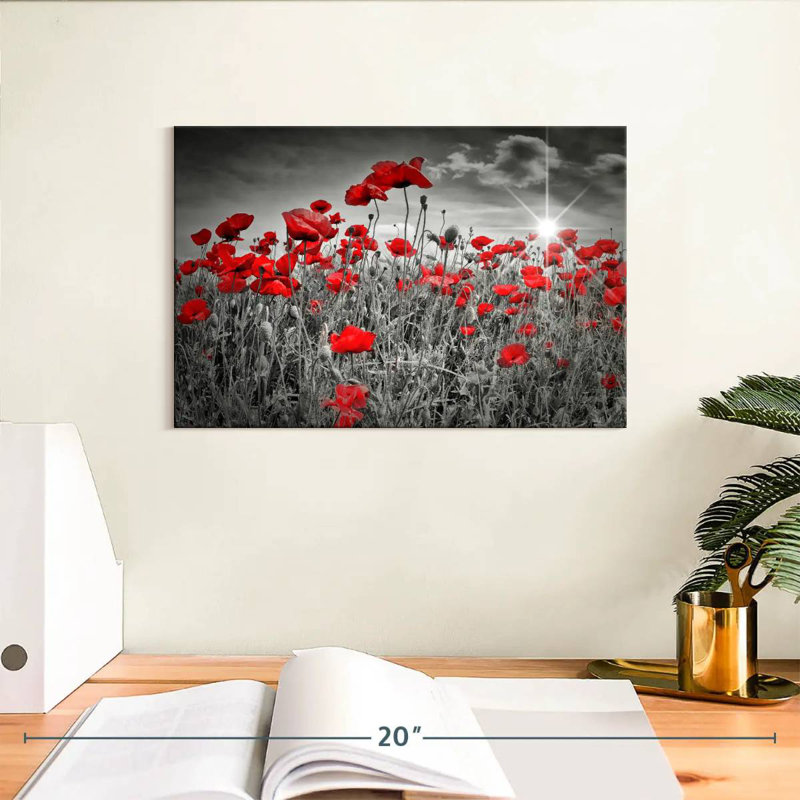 Harnek Red Poppies Pop, H 8 po x l 12 po