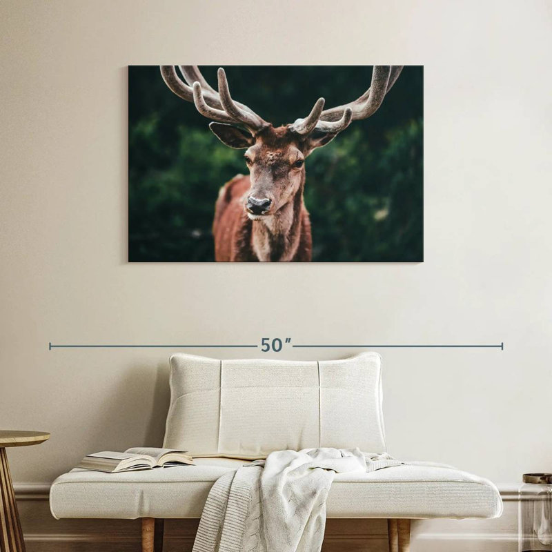 Grand cerf majestueux, H 26 po x l 39 po