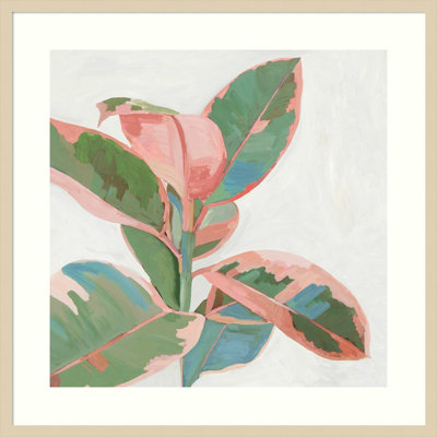 Pink Ficus I Print by Asia Jensen