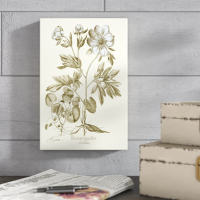 «Spa Peony III», impression sur toile