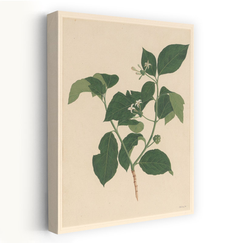 Botanique, verdure, abstrait, paysage contemporain, art naturel, H 24 po x l 16 po