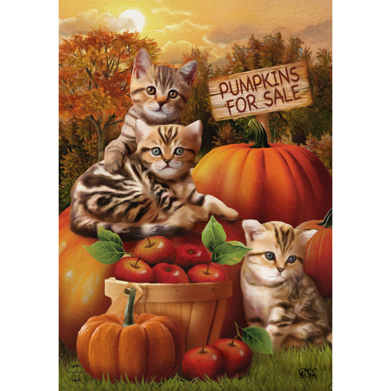 Automne, chatons, citrouilles, jardin, drapeau