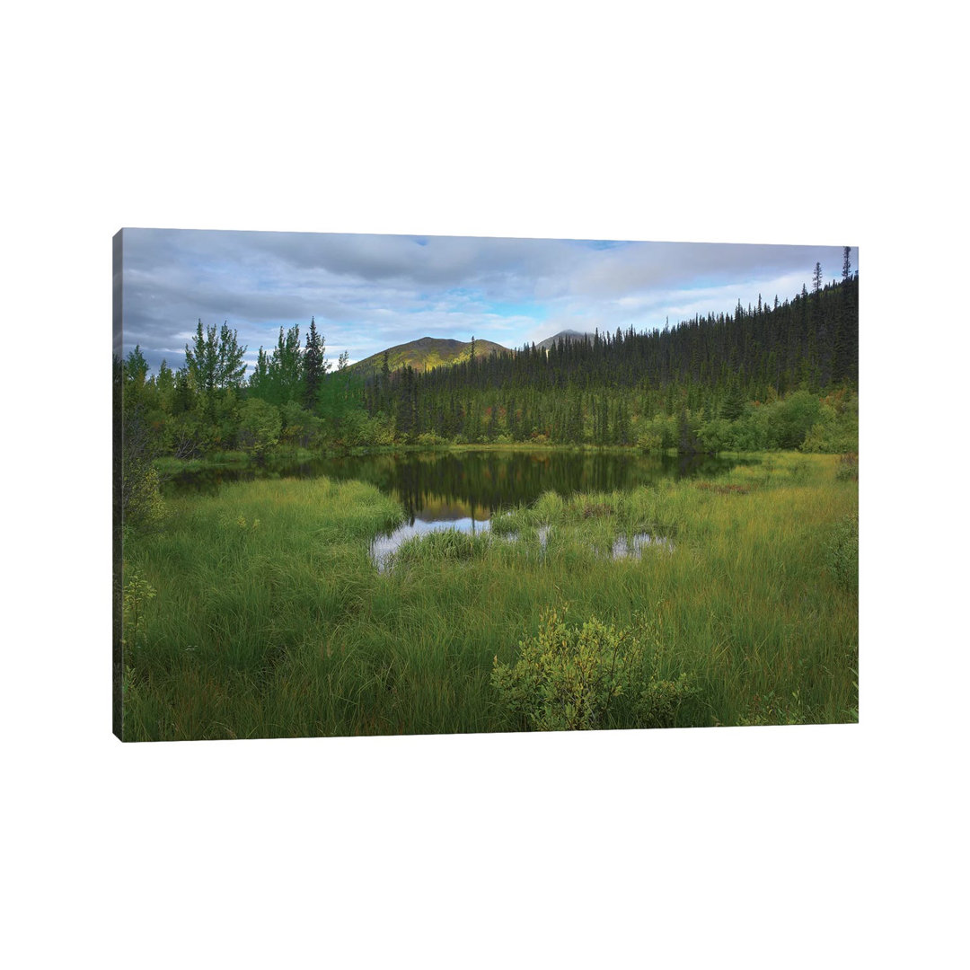 Borealer Wald mit Teich und Antimony Mountain im Hintergrund Ogilvie Mountains Yukon Territory CA