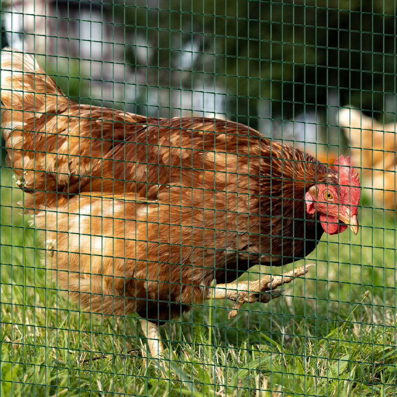 Roney 90cm H x 3000cm W Green Metal Border Fencing
