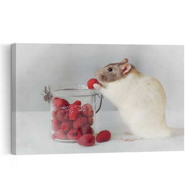 Sweet Raspberry Rat Contemporary Wall Art Print