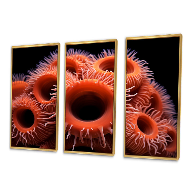 «Orange Giant Plumose Anemone - Coastal Coral Under Water», art mural sur toile, Cadre flottant doré, H 28 po x l 36 po