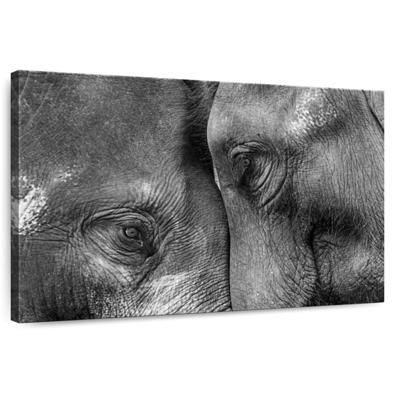 Inseparable Elephants, 16" H x 24" W