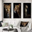 "Superbe portrait de léopard" - 3 pièces-534289146-534289145