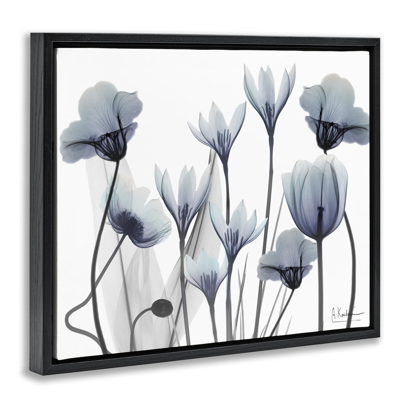 Cadre flottant Delicate Mixed Chic Blooms, design par Albert Koetsier, Cadre flottant noir de jais, H 17 po x l 21 po