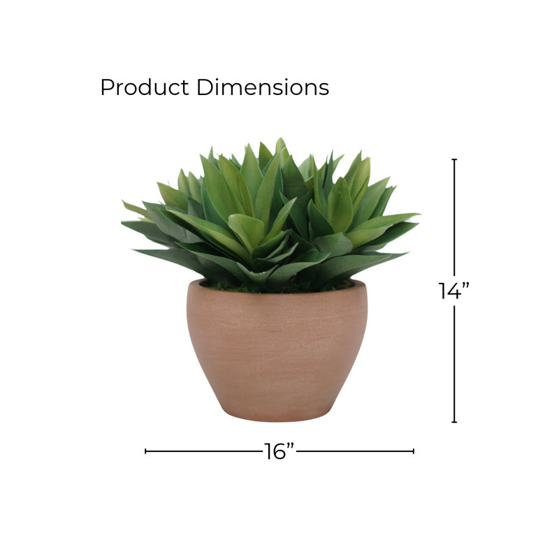 Agave 14 po en céramique blanc brillant, Terracotta