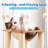 Evislandys 35.75'' H Cat Tree