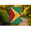Drapeau de la Guyane - Drapeau extérieur