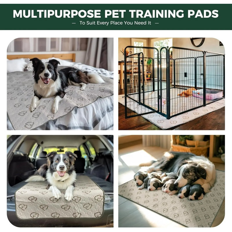Protège-patins lavables pour chiens, antidérapants et antidérapants, spécialement conçus pour l'entraînement à la propreté, rectangulaire de 30 po x 75 po, kaki, 2 paquets