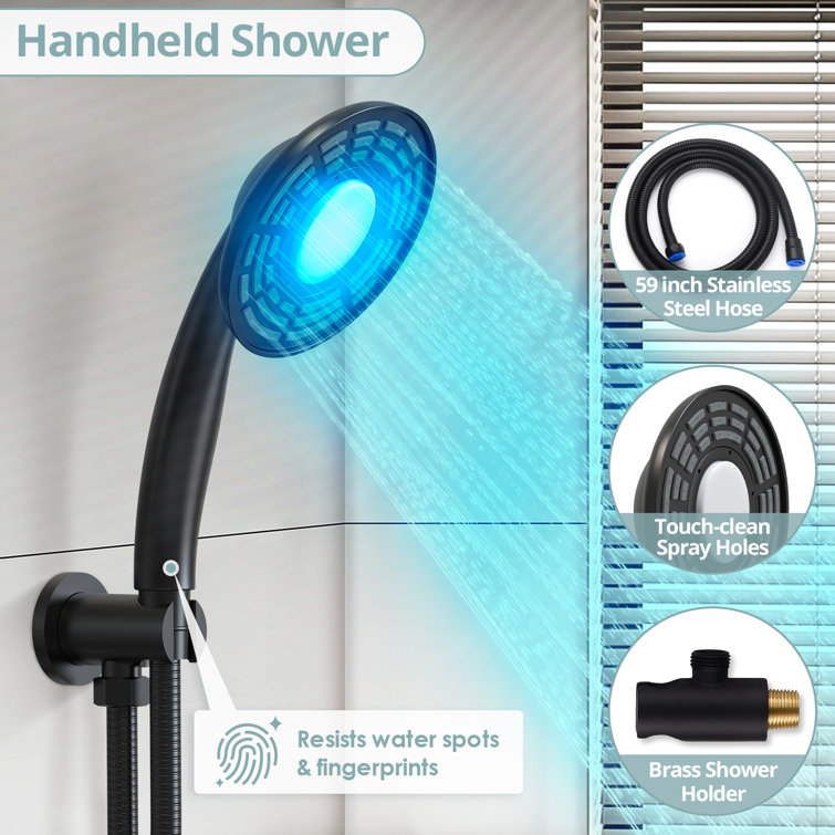 EVERSTEIN SFS-1022-BK5 ThermaGlow Thermometer Shower Head: Water-Powered Fahrenheit Display, Child and Pet Showers Finish: Matte Black