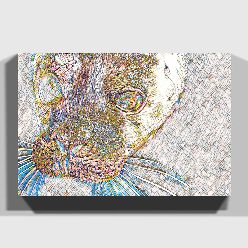 Seal - Wrapped Canvas, 50cm H x 76cm W