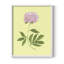 Pivoines en jaune I, reproduction encadrée - bois massif-217736770-217736780