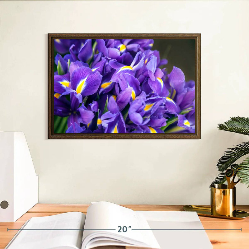 Violet iris, 13 po x 9 po, Cadre flottant noyer