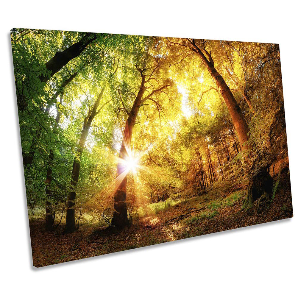 Forest Sunset Landscape - Wrapped Canvas Print
