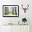 View of a Pine Tree Forest - Picture Frame Painting Print-55605008-55605009