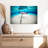 Brampt Stingray Underwater Scenery-107686835