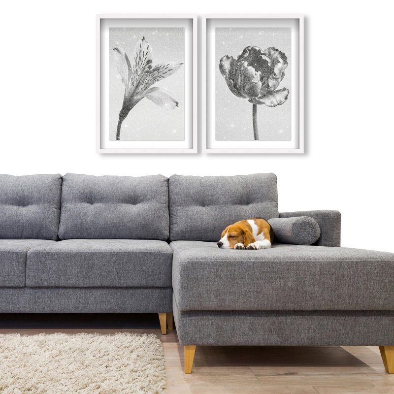Peeking Flowers Set Set by Oliver Gal, 25.5" H x 17.5" W, White Shadowbox