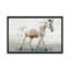 «White Horse», impression sur toile-31844748-73442468-73442469