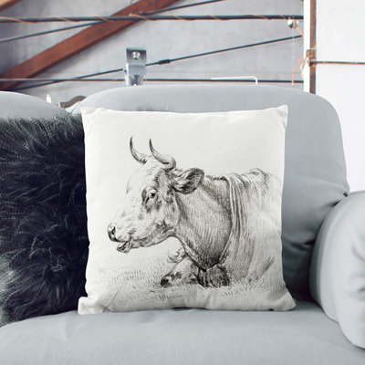 Square Throw Cushion