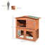 Coleman Rabbit Hutch Outdoor Guinea Pig Hutch 2Tier 1005 x 55 x 101 cm
