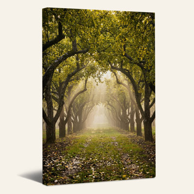 Art mural sur toile Sunlit