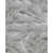 Gray selected