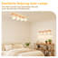 Flush Mount
