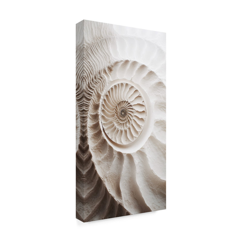 «Murcia Ammonite», impression sur toile, H 10 po x l 19 po x P 2 po