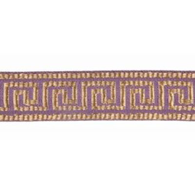 Jacquard Tapes Fabric