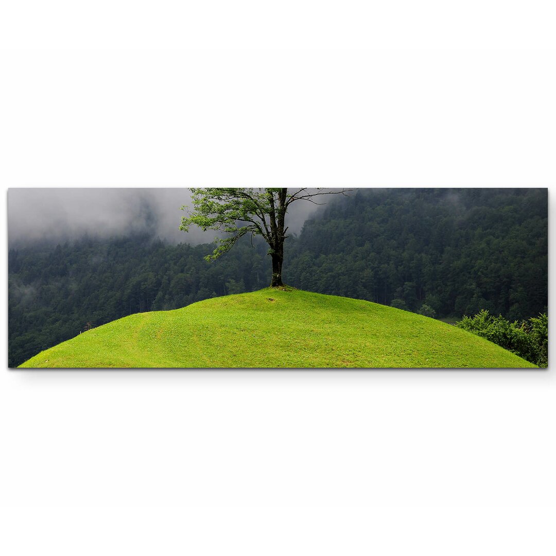 Leinwandbild Spiegelung Baum im Wasser