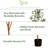 82'' Faux Olive Tree Tree in Planter-827544178