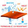 ColorTree Customizable Right Triangle Sun Shade Sail - Durable & UV-Resistant