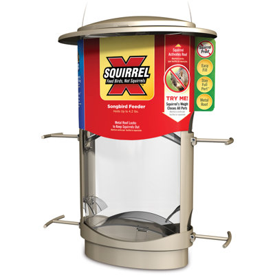 Kovach Metal Hanging Tube Bird Feeder