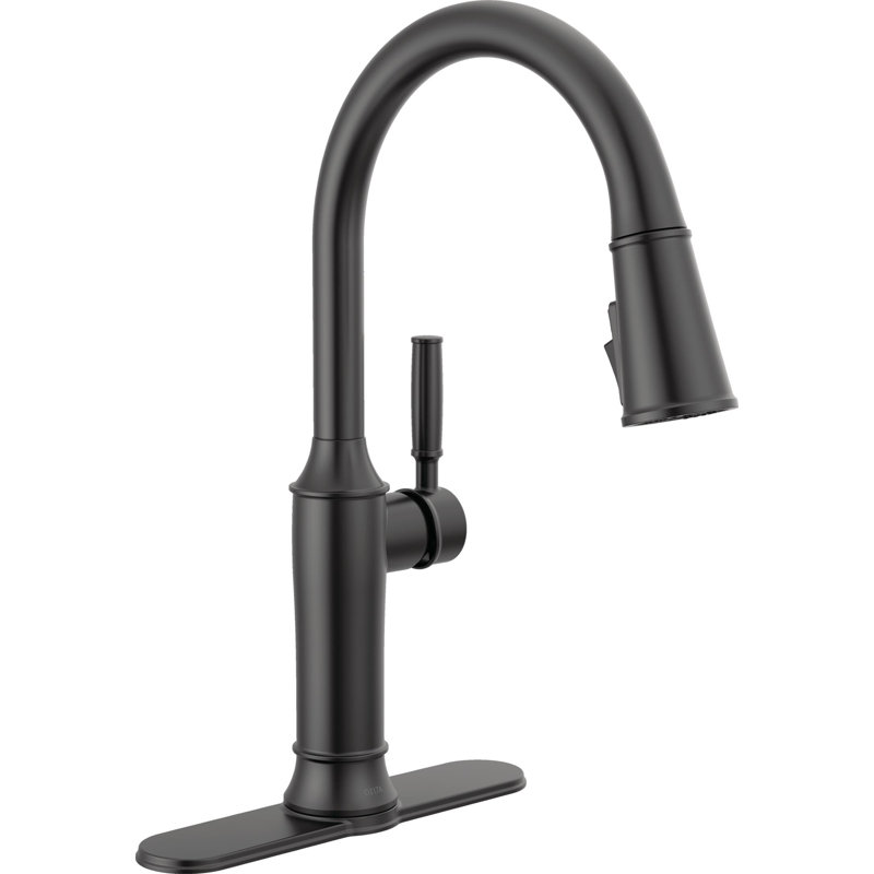 Robinet d'évier de cuisine à bec rétractable à poignée simple Renaldi ProClean, Noir mat