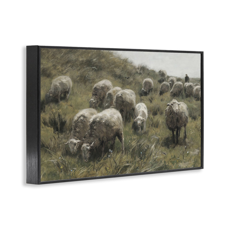«Sheep at Pasture», art de la giclée encadrée par RileyB, Giclée encadrée noir minuit, H 12 po x l 18 po