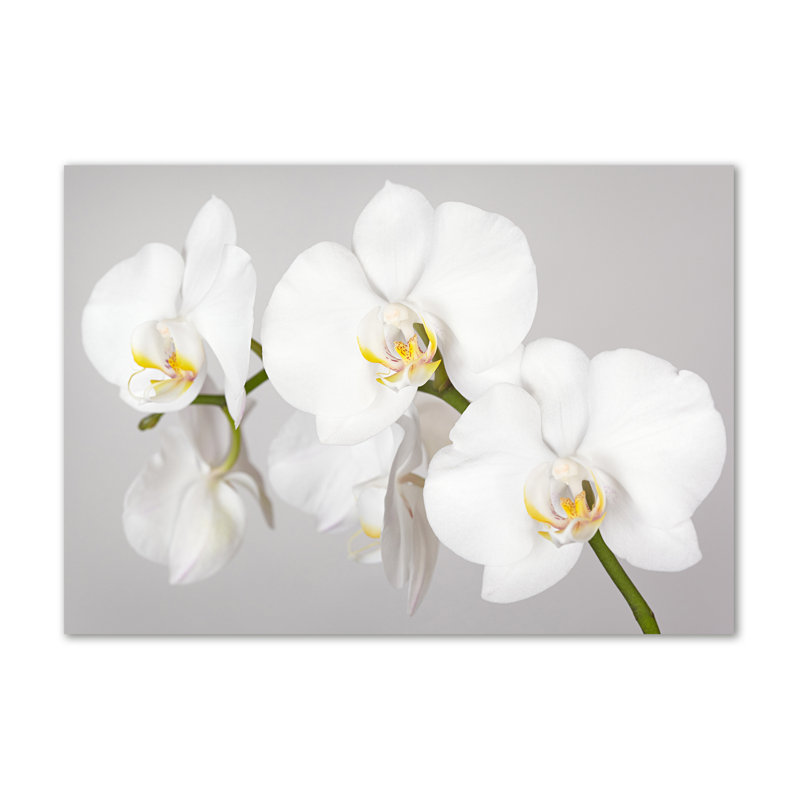 Orchid - Wrapped Canvas Print