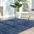 Franchester Indoor Rug-29178952