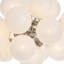 Lustre Shine-98972145-98972144