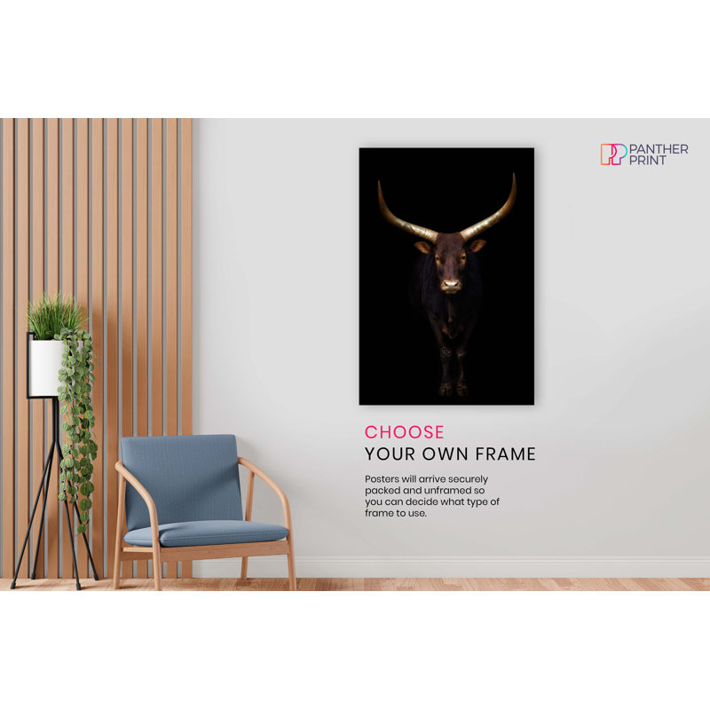 Ankole Watusi Cattle With Golden Horns - No Frame Print, 46cm H x 31cm W